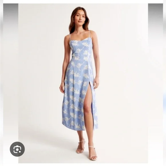 Abercrombie & Fitch Camille Midi Dress in Blue Floral - Picture 1 of 4